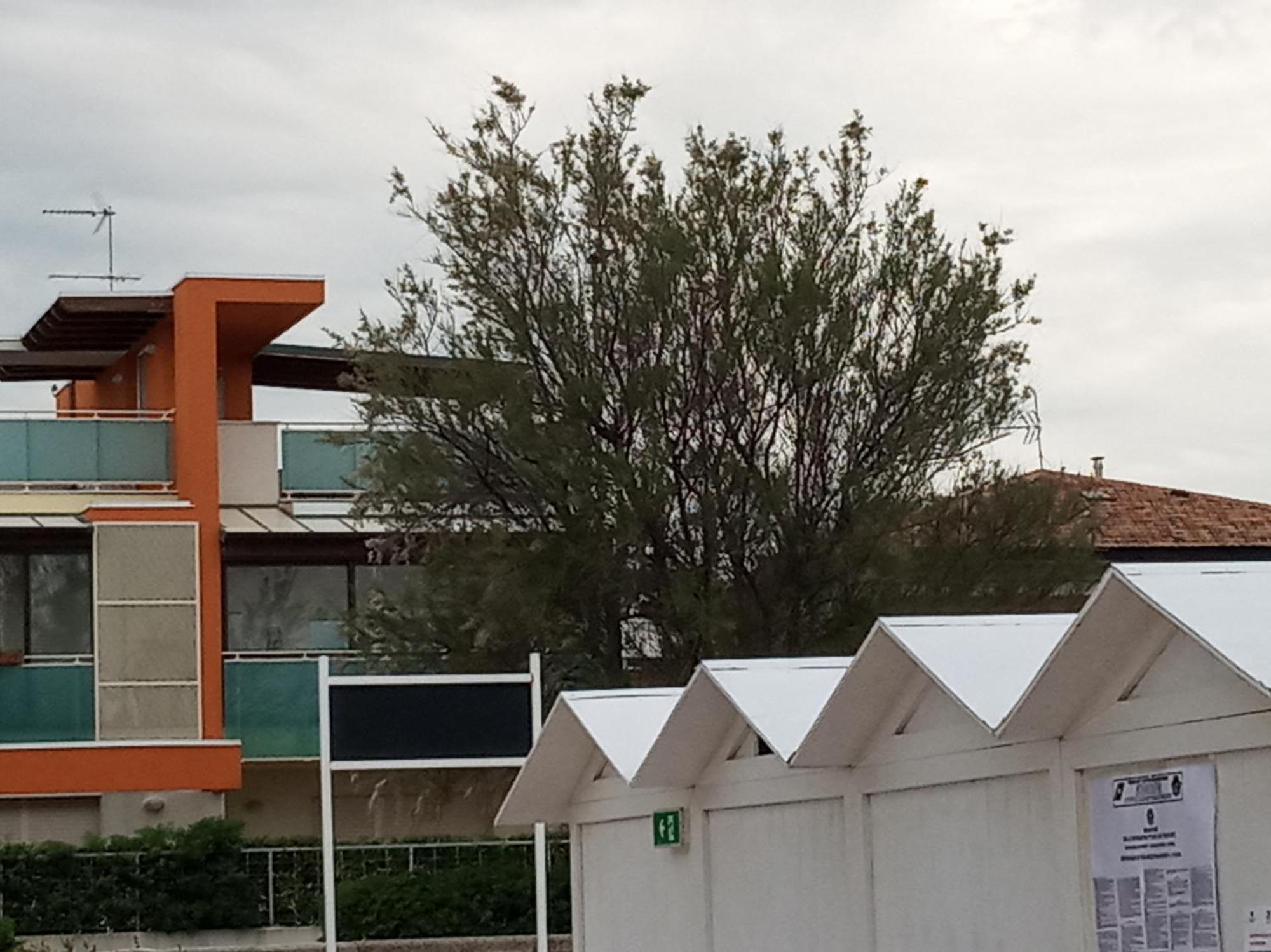 Villa A Mare Senigallia Zewnętrze zdjęcie